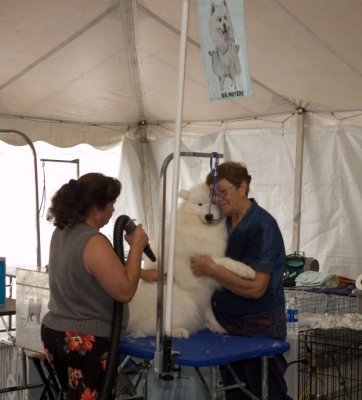 More from the Grooming Tent