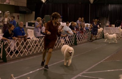 From 6 - 9 Month Futurity Ring