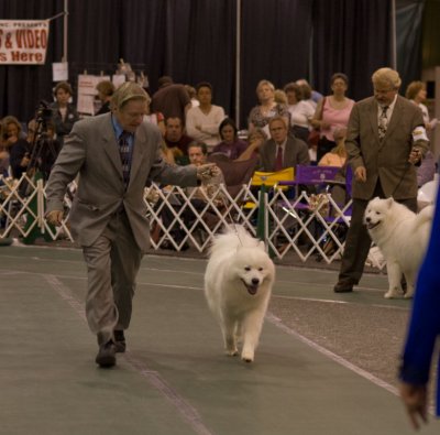 Dog Judging_0607-1