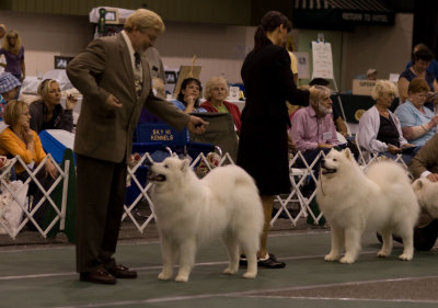 Dog Judging_0611-1