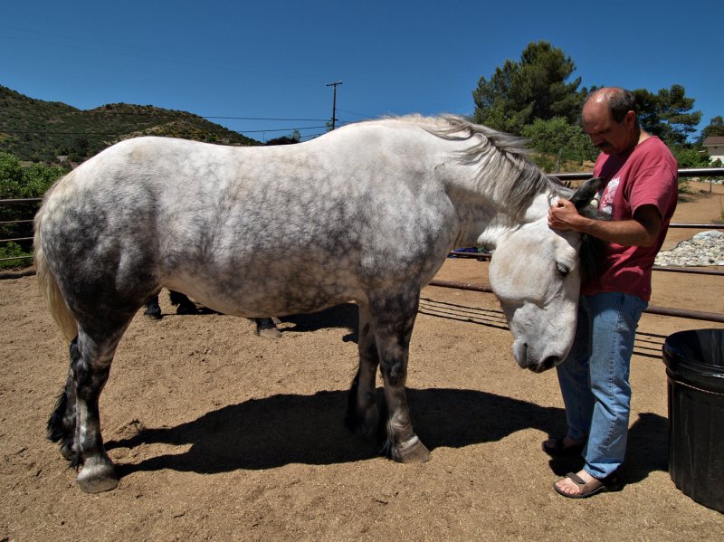 Jeff Saufley and his horse