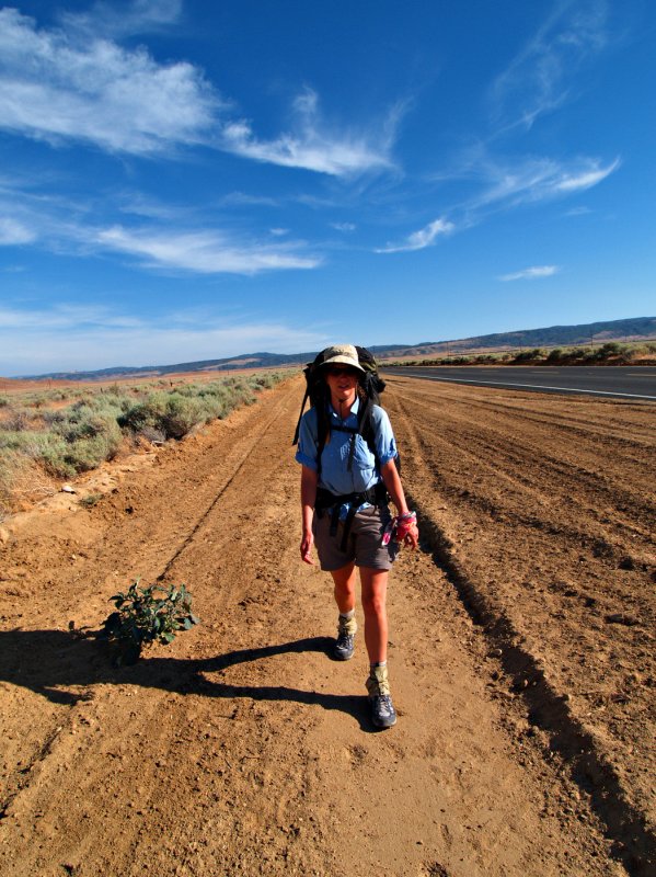 Crossing the Mojave Desert