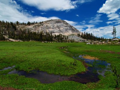 Meadow and Dome, Yosemite, CA