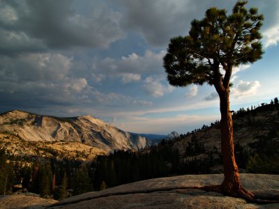 Olmsted point Yosemite, CA