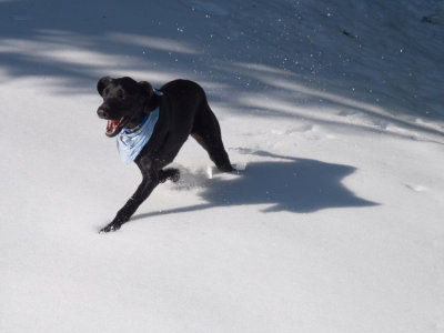 Running through snow at White Pass