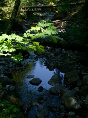 D11V0545.jpg
