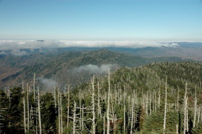 Clingmans Dome #2