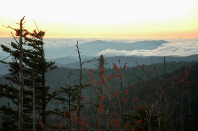 Clingmans Dome #4