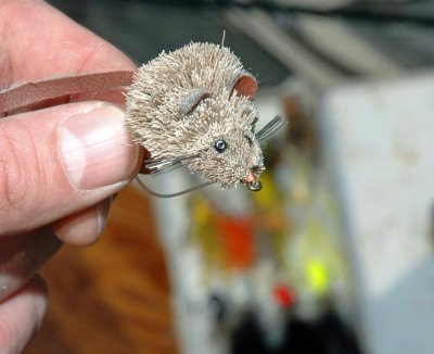 Mousin' for Bass