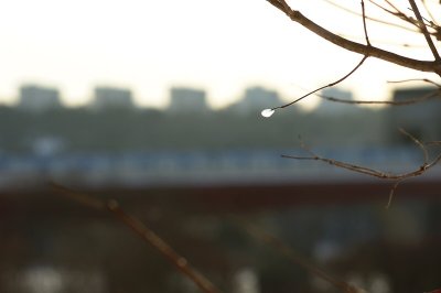 DSC_9169.jpg