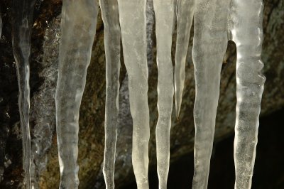 DSC_9212.jpg