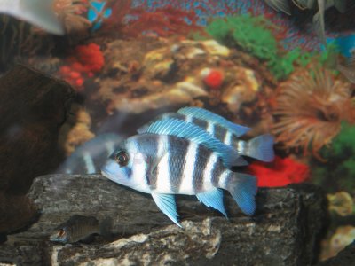 IMG_4236.JPG