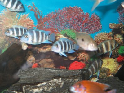 IMG_4237.JPG