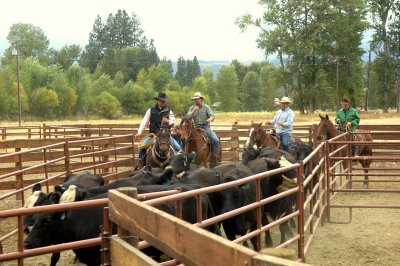 CB Ranch Corral