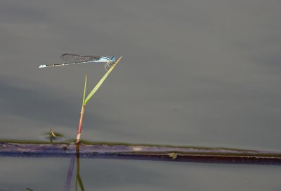 _MG_9686.jpg