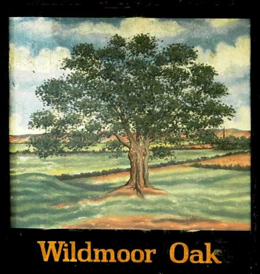 Wildmoor