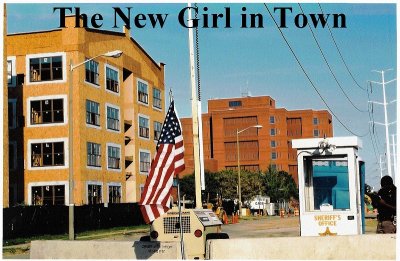 new girl-sm.jpg