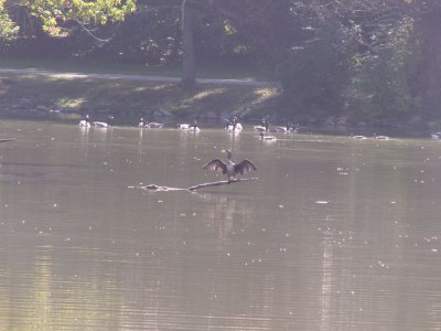 image009-smaller.jpg