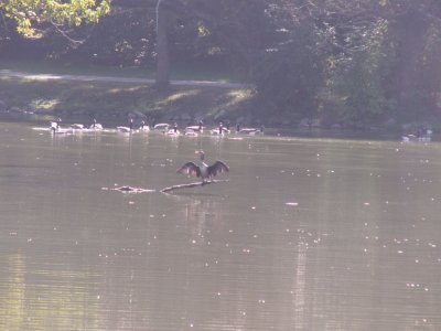 image010-smaller.jpg