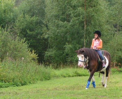 hirvensalmi