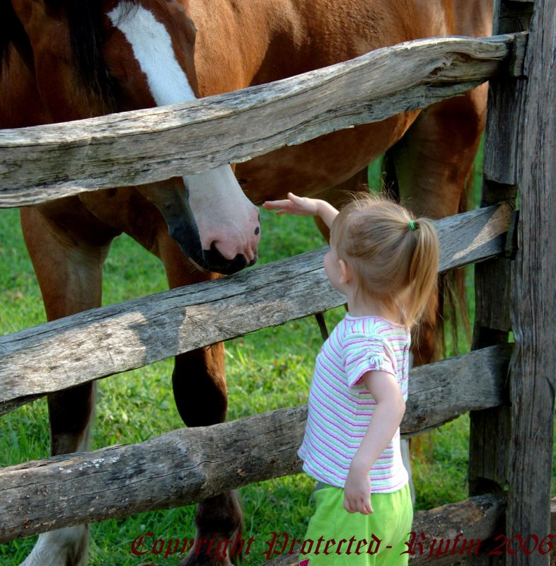  Best Friend  Williamsburg Colonial, Va