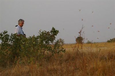 sprinkhanen en Wim.jpg