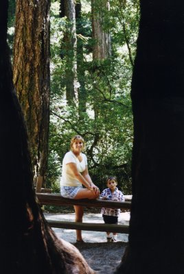 big-basin-July-19960003.jpg