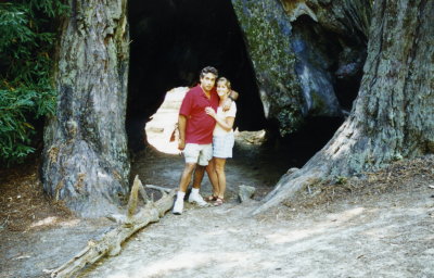 big-basin-July-19960007.jpg