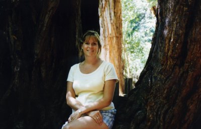 big-basin-July-19960009.jpg