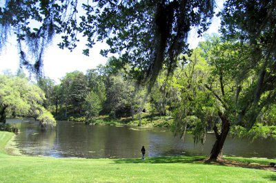 middleton place-pond