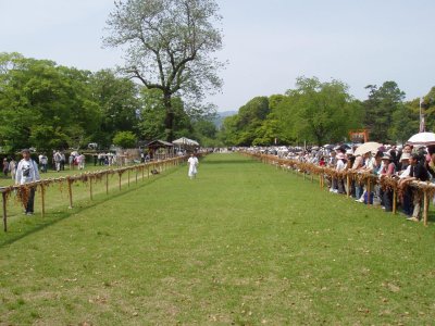Looking down the racetrack