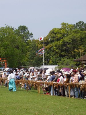 Eager observers (note the Japanese flag in the background - very unusual to see one of these in public)