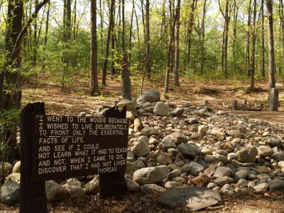 Walden Pond