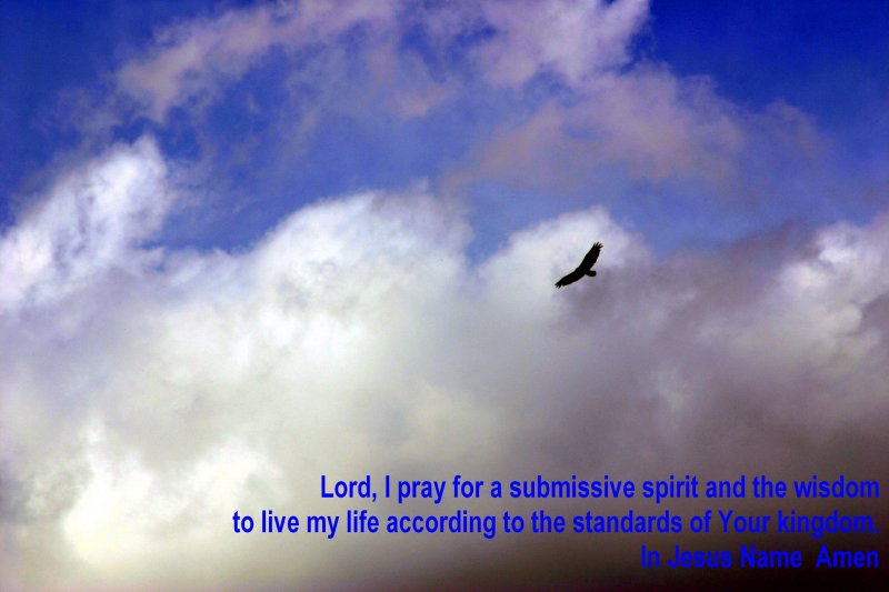 Prayer for A Submissive Spirit and Wisdom