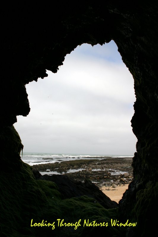 Window On Nature
