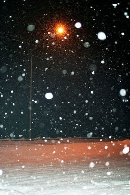 Snow Falling - 2