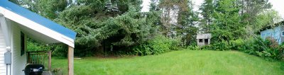 backyard-2.jpg