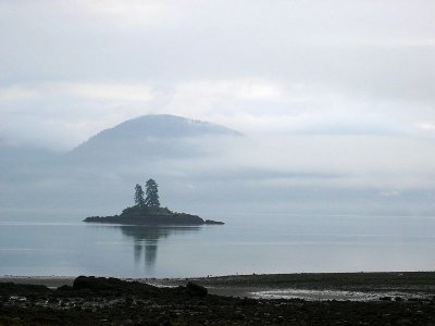 Misty morning over Two Tree Island (Vank Island)