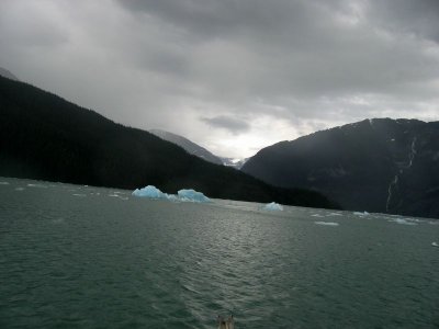 LeConte Bay - 1