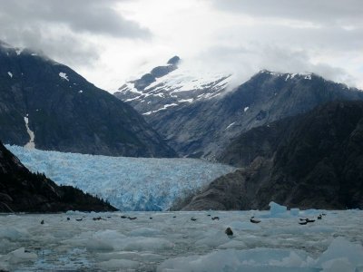 Le Conte Glacier - 4