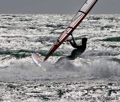 IMG_9677.jpg