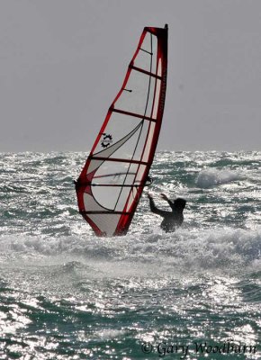IMG_9683.jpg