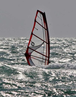 IMG_9685.jpg
