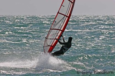 IMG_9710.jpg