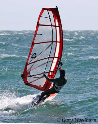 IMG_9754.jpg