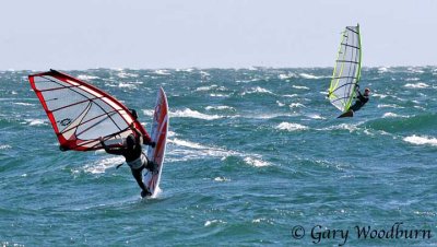 IMG_9793.jpg