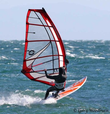 IMG_9799.jpg