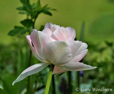 IMG_0716.jpg