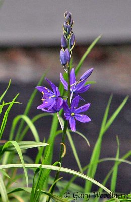 IMG_8902.jpg