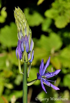 IMG_9576.jpg